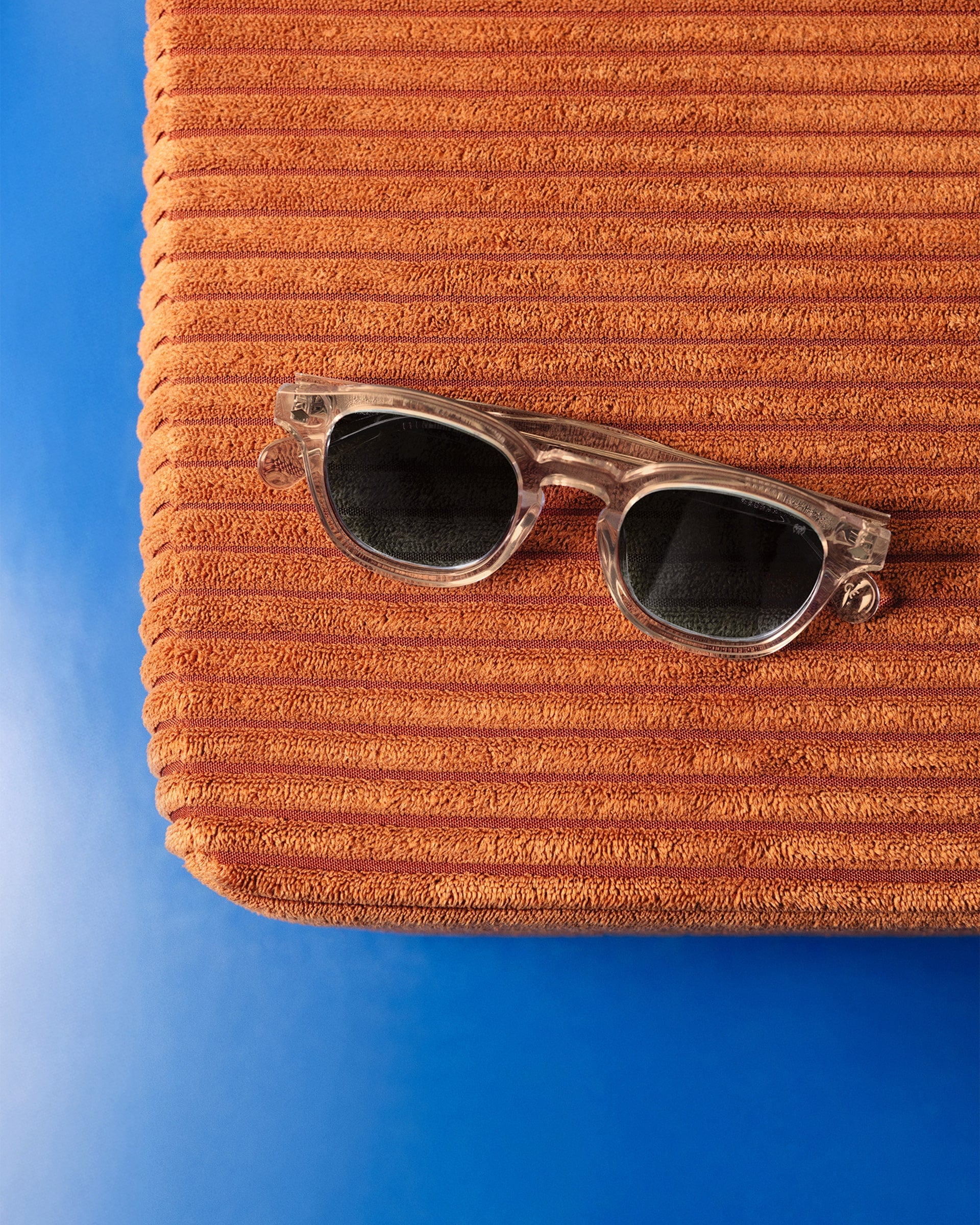 SB Sunglasses Brown Transparent Frame with Dark Blue Lenses